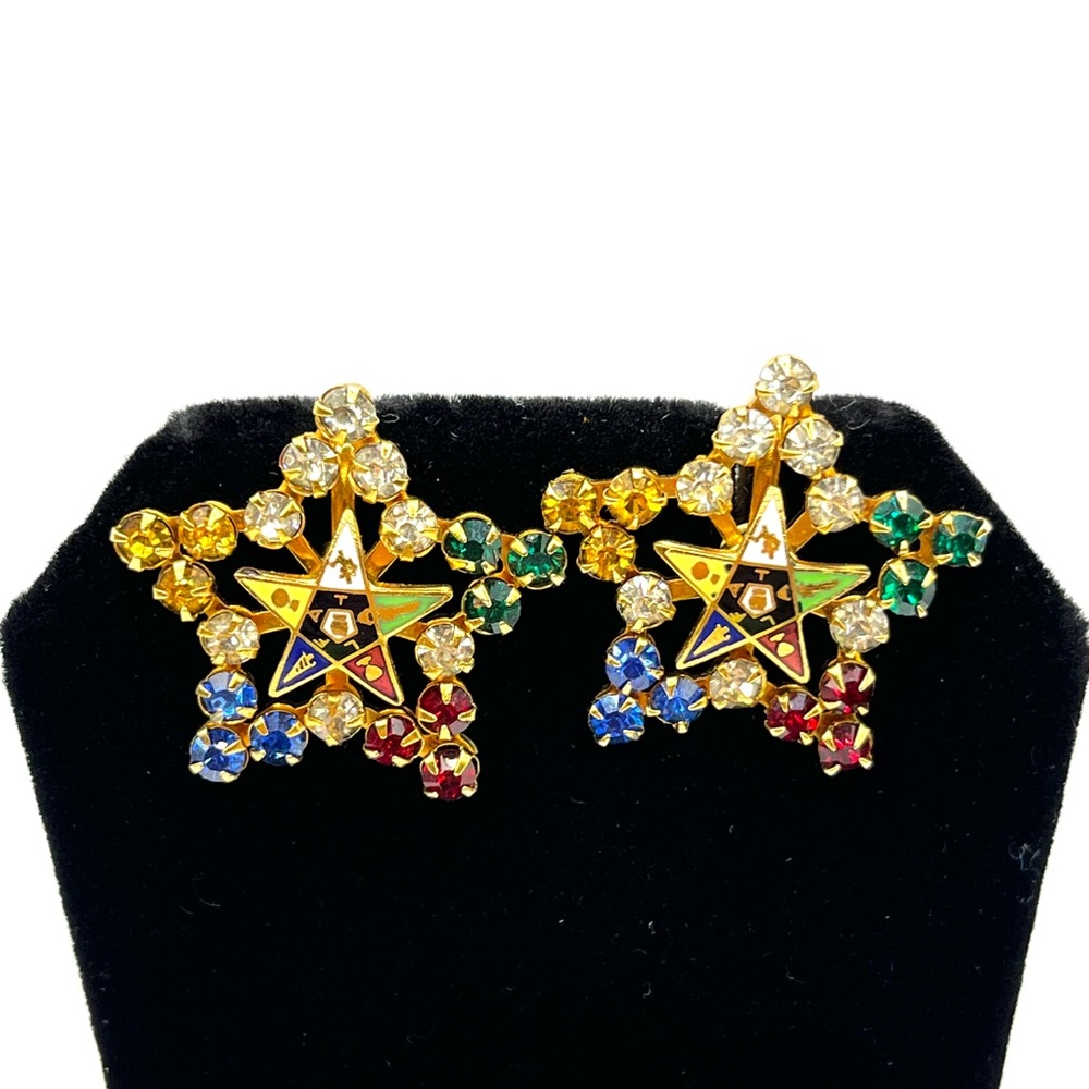 Vintage Order of Eastern Star Rhinestone Flower Freemasons Earrings Screw Back